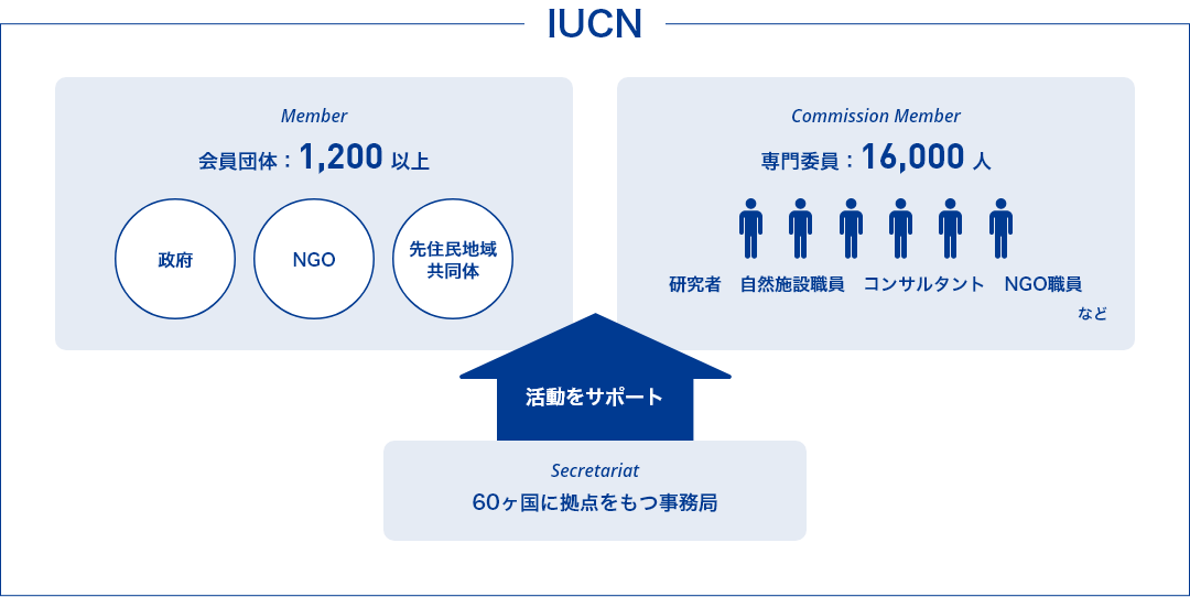 IUCNの構成