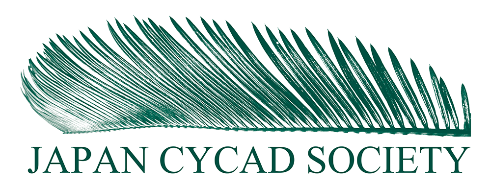 一般社団法人Japan Cycad Society（日本ソテツ研究会）
