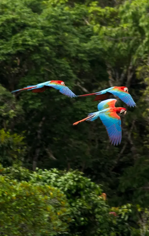 生物多様性