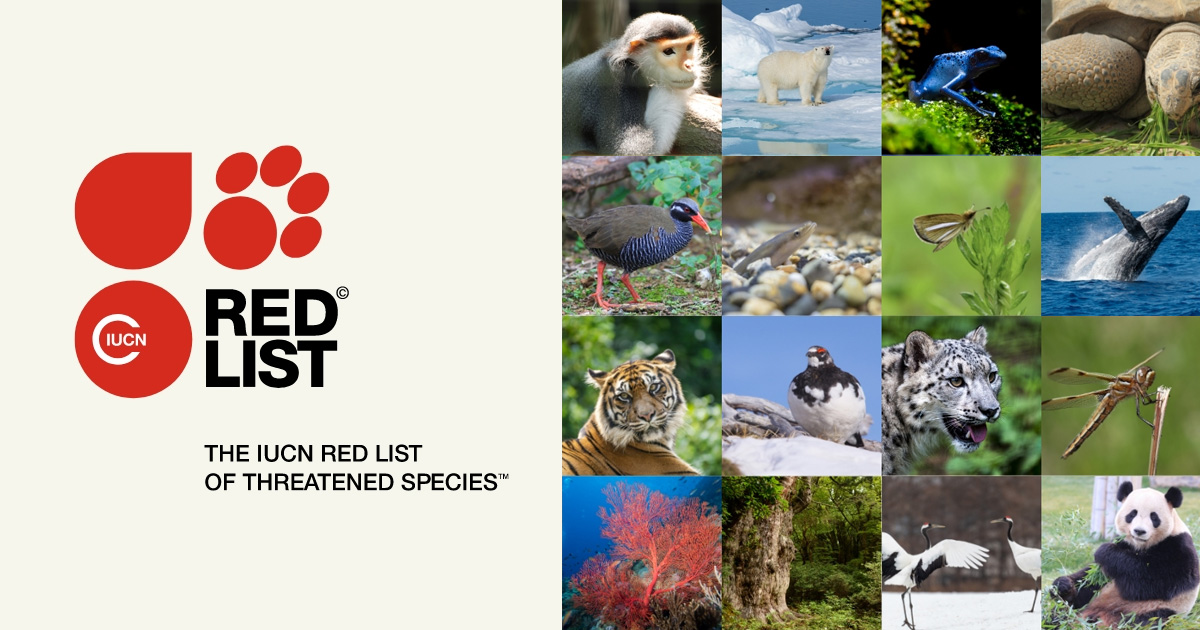 IUCNレッドリスト - IUCN日本委員会